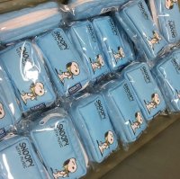 スヌーピーバンドコレクション　＜2018年　限定カラー＞マウスピースポーチ　【2018年11月22日入荷！】