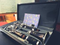 モイスレガート　楽器用湿度調節シート　楽器ケース内の湿度を適正にキープします♪ 【交換時期は約2年】　【2020年9月取扱開始】