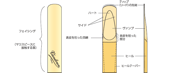 画像3: バンドレン）アルトサックスリード　トラディッショナル（青）【2024年2月価格改定】